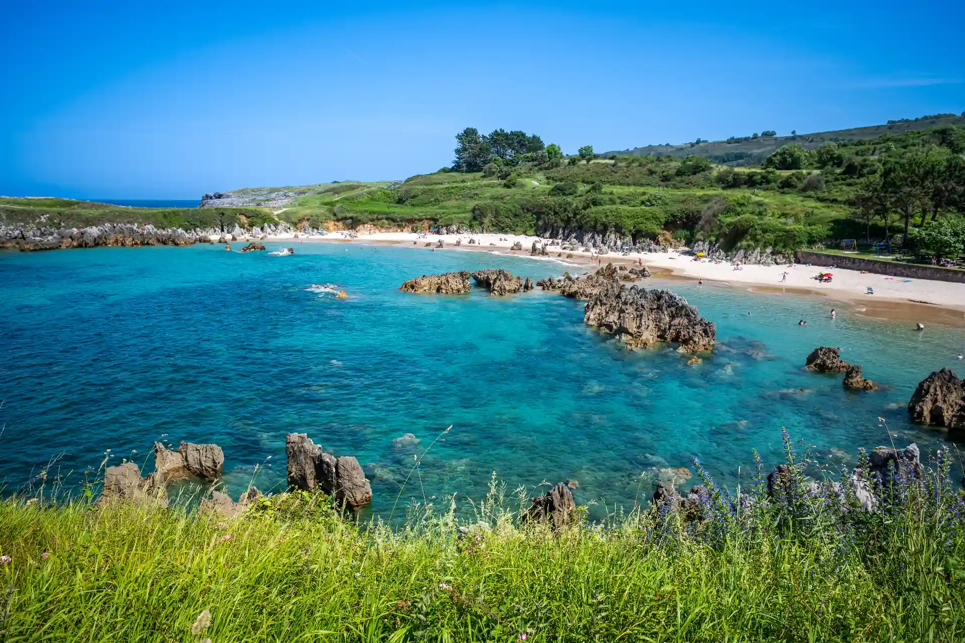 Llanes coastline — turquoise rocky bay with a wide sandy beach, jagged rock formations and wildflowers in the foreground, Asturias